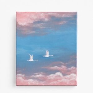 Volando entre nubes