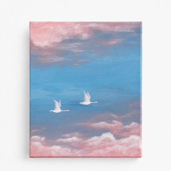Volando entre nubes