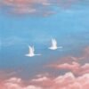 Volando entre nubes