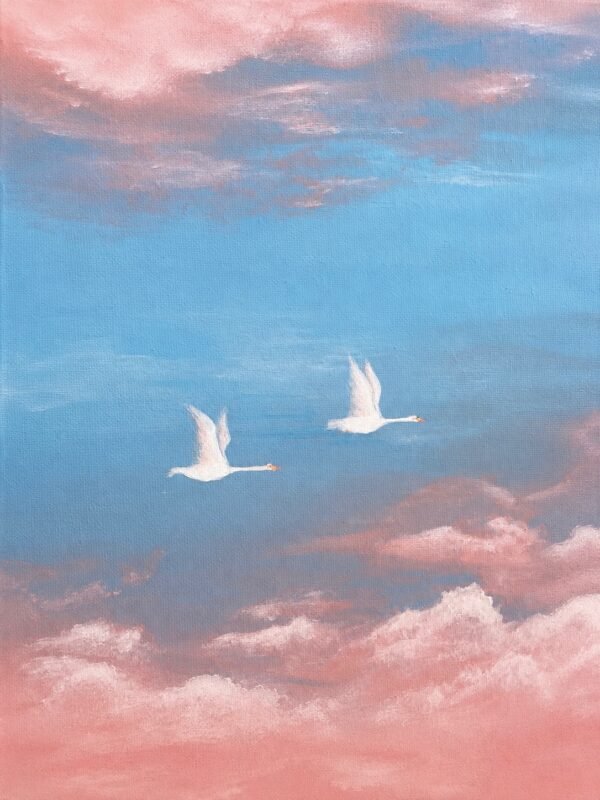 Volando entre nubes