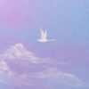Cisne de aire
