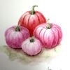 Calabazas Rosadas